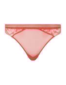 Brazyliany thelma Passionata - 4