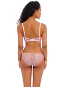 Brazyliany erin brief Freya - 1