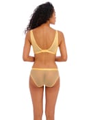 Figi snapshot star brief Freya - 1