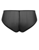 Figi clara Panache - 4