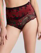 Majtki z wysokim stanem clara Panache - 2