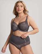 Majtki z wysokim stanem estel Panache - 0