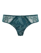 Figi jasmine Panache - 5