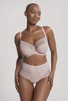 Majtki z wysokim stanem serene Panache - 0