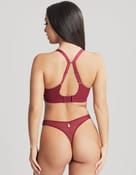 Stringi alexis Panache - 3