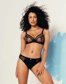 Stringi snapshot Freya - 0