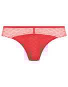 Brazyliany signature Freya - 3