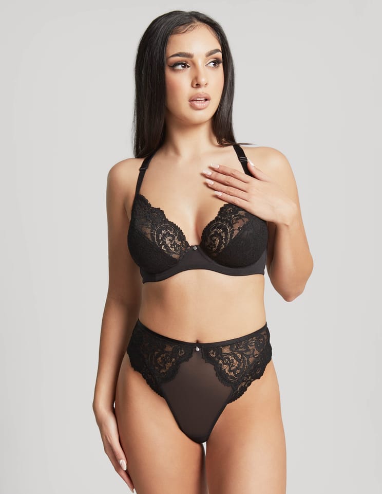 Brazyliany addison Panache - 0